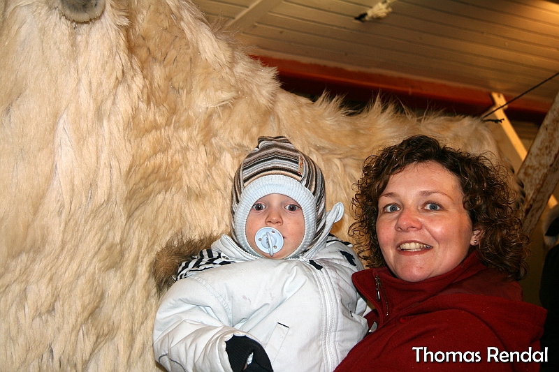 Icebear in nuuk 008.JPG